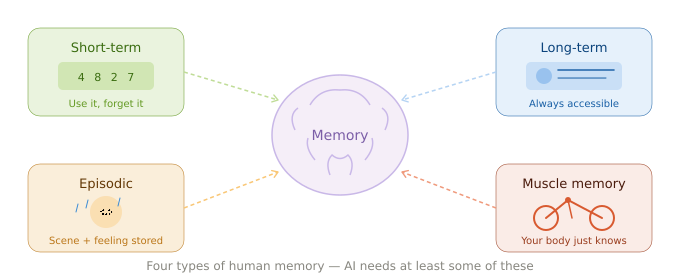 Different types of human memory